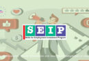 বিনামূল্যে ডিজিটাল মার্কেটিং কোর্স ২০২২ । SEIP Professional Digital Marketing Course