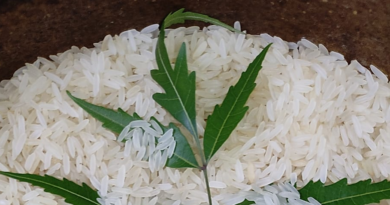 Rice preservation Tips । চাল সংরক্ষণের কিছু প্রয়োজনীয় টিপস দেখুন